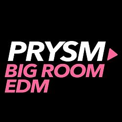 Prysm EDM - Big Room logo