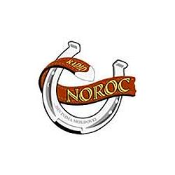 Radio Noroc