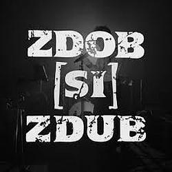 Zdob si Zdub Радио