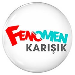 Radyo Fenomen Karışık logo