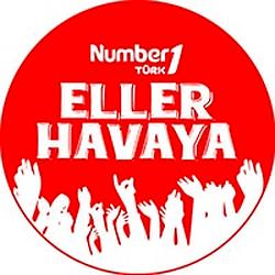 Number1 Eller Havaya logo