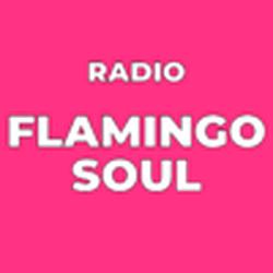 Radio Cappajoe - Flamingo Soul logo