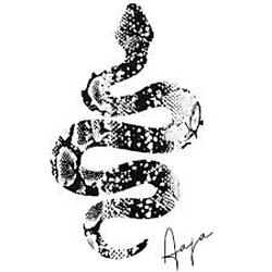 Aaja Music - Channel 2 logo