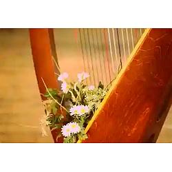 Radio Art - Solo Harp