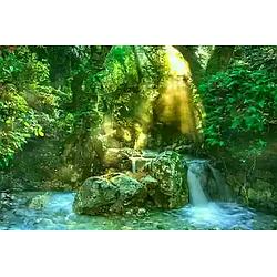 Radio Art - Nature logo