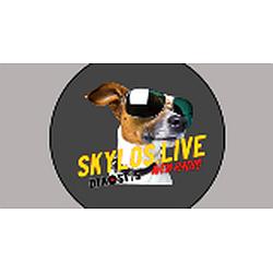 Skylos live radio logo