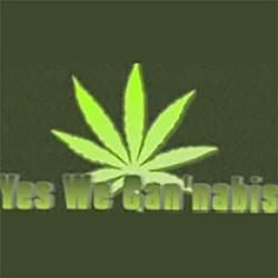 Yes We Cannabis logo