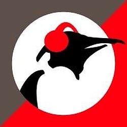 Pinguin Fiesta logo