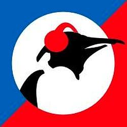 Pinguin Showcase logo