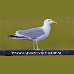 Radio Zilvermeeuw