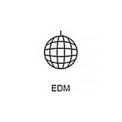 EDM Record logo