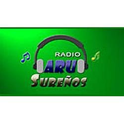 Radio Arusureños logo