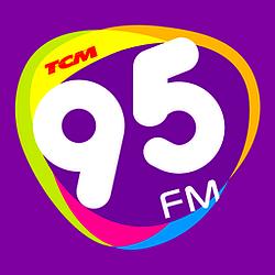 Radio 95 FM logo