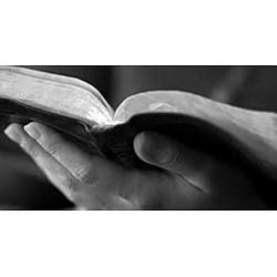 web Radio Semeando Esperança