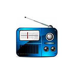 Rádio Brasil News FM