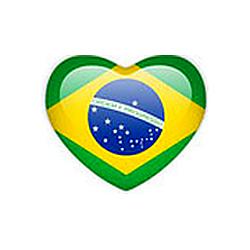 Rádio Brasil News FM