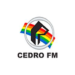 Rádio Cedro FM