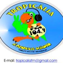 Tropicália Macaúbas