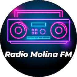 Radio Molina FM Curicó logo