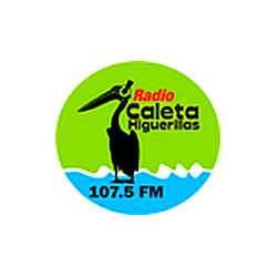 Radio Caleta Higuerillas