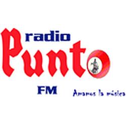 Radio PuntoFM logo