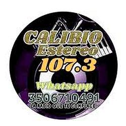 calibio Estereo popayan logo