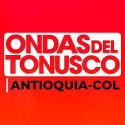 Ondas del Tonusco