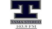Tama Stereo logo