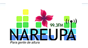Nareupa 99.3 Fm logo