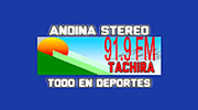 Andina Stereo 91.9FM Radio logo