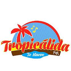 Tropicalida logo