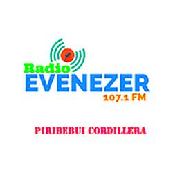 Radio Evenezer FM 107.1 logo