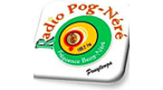 Radio Pognere