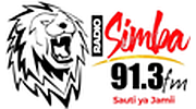 Radio Simba 91.3 FM