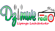 Dzimwe Community Radio logo