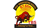 TBS FM  The Bull