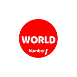 Number1 World logo