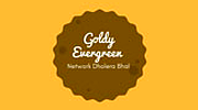 Goldy Evergreen logo