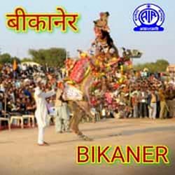 AIR FM Bikaner logo