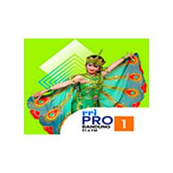 RRI Pro 1 - Bandung