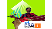 RRI Pro 1 - Mataram logo