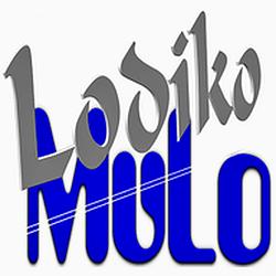 Lodiko MuLo logo