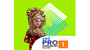 RRI Pro 1 - Sungailiat