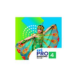RRI Pro 4 - Bandung logo