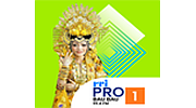 RRI Pro 1 - Baubau