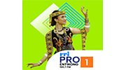 RRI Pro 1 -  Entikong
