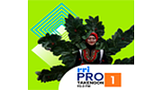 RRI Pro 1 - Takengon