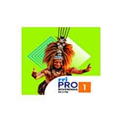 RRI Pro 1 - Bovendigul