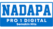 Nadapa Pro 1 Digital logo