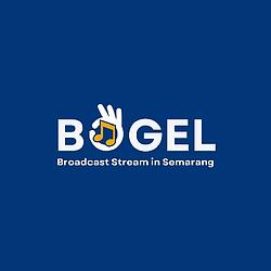 Bogel Stream logo